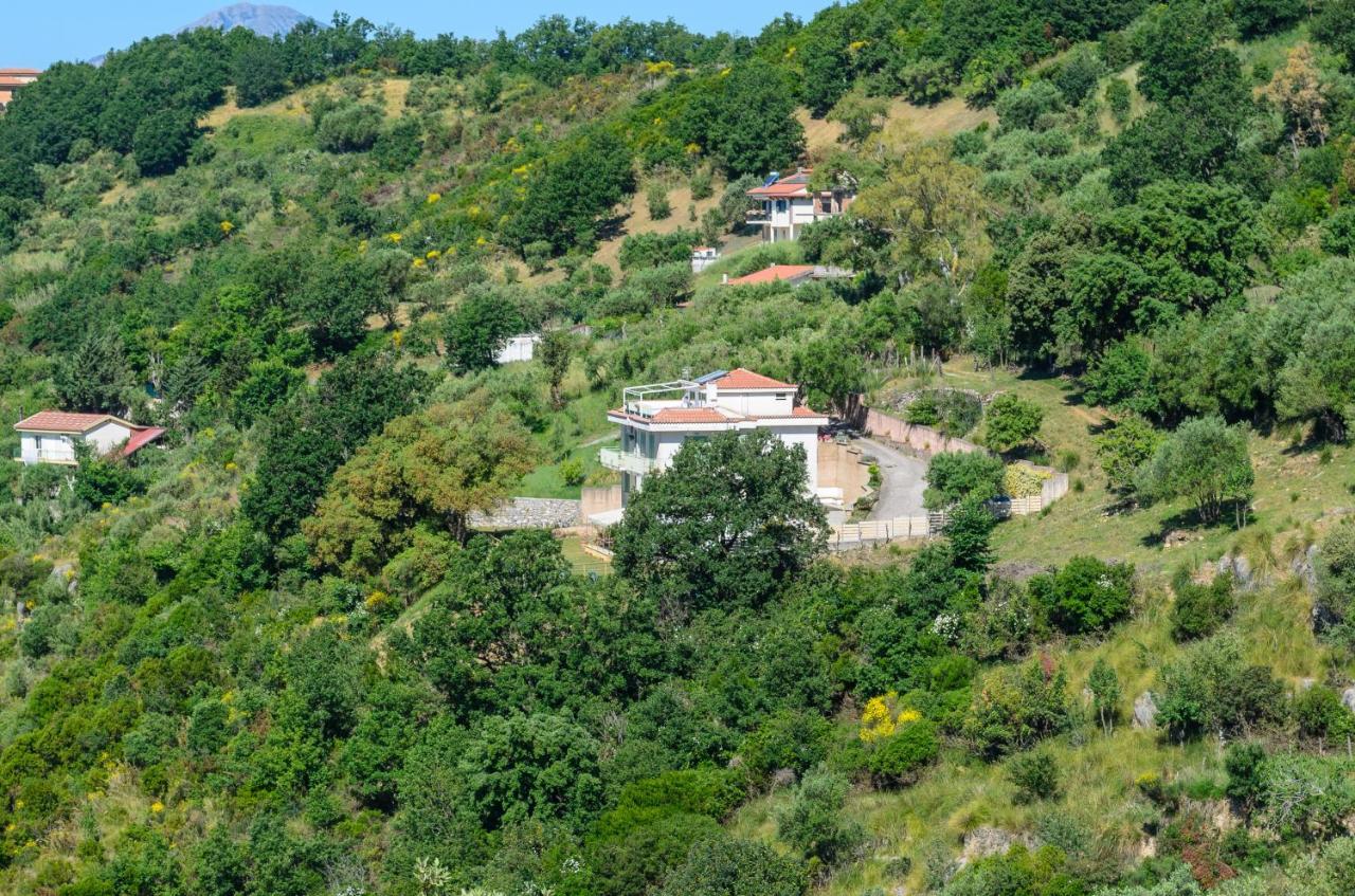 Drius Edode - B&B Affittacamere Torraca Экстерьер фото