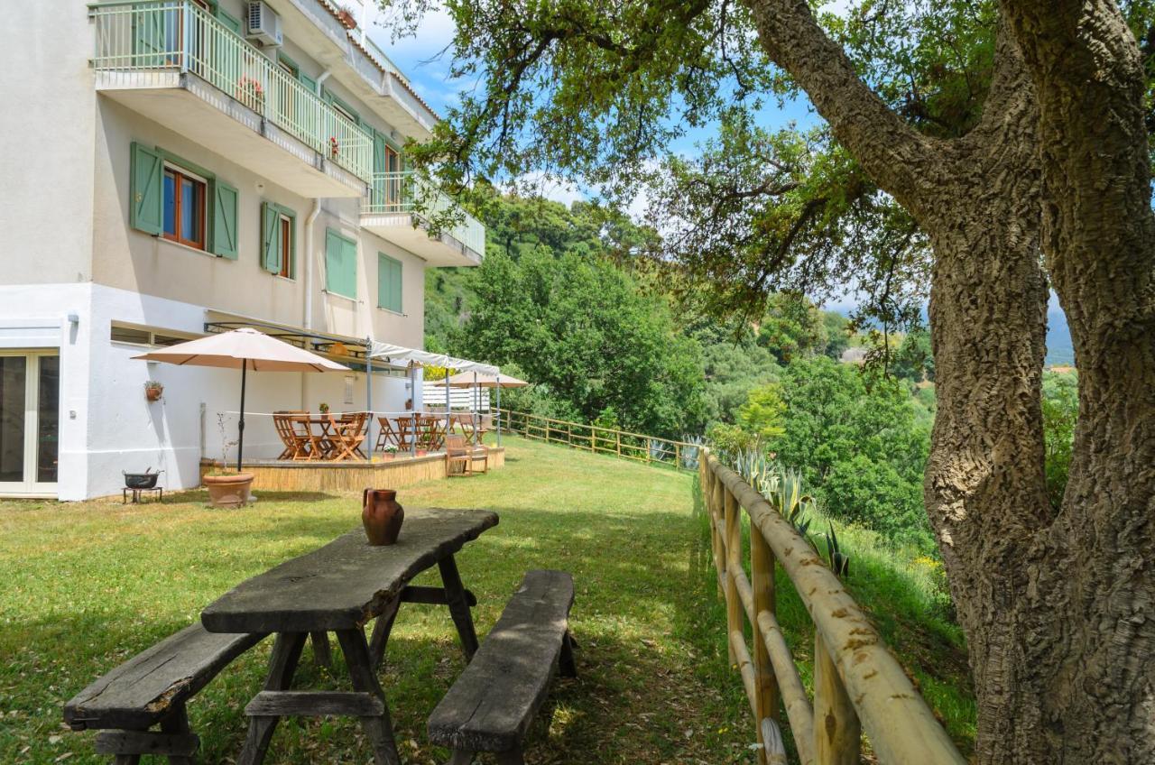 Drius Edode - B&B Affittacamere Torraca Экстерьер фото